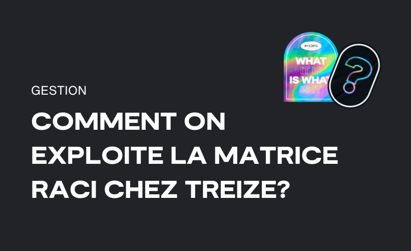 How TREIZE utilizes the RACI matrix?