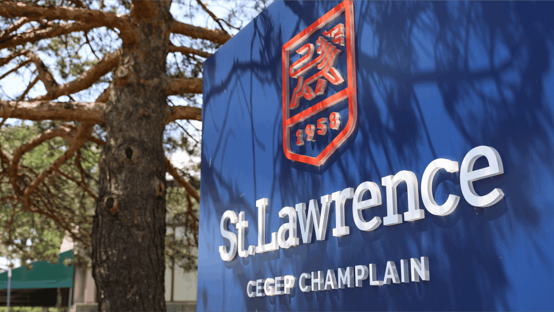 Image projet Cegep Champlain – St. Lawrence